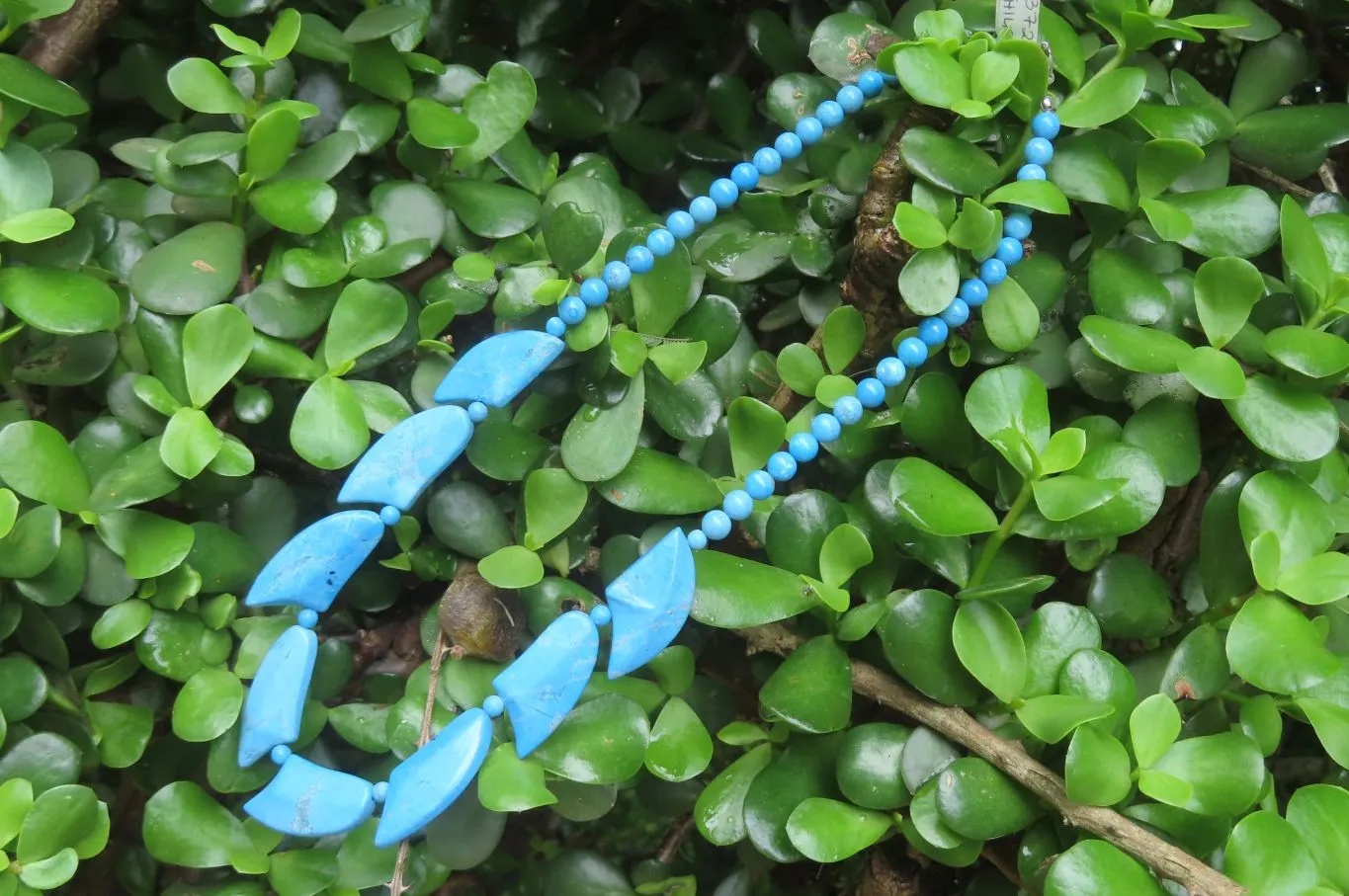 Polished Blue Turquenite - Howlite Fancy Leaf Necklace - Sold Per Pair - From Zimbabwe