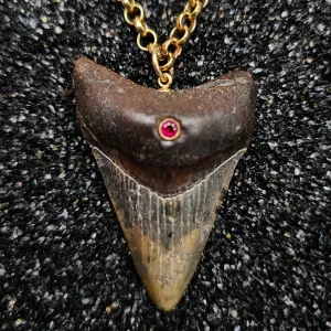 The Relic Necklace (Megalodon Tooth With Ruby, Set In 14k Yellow Gold)