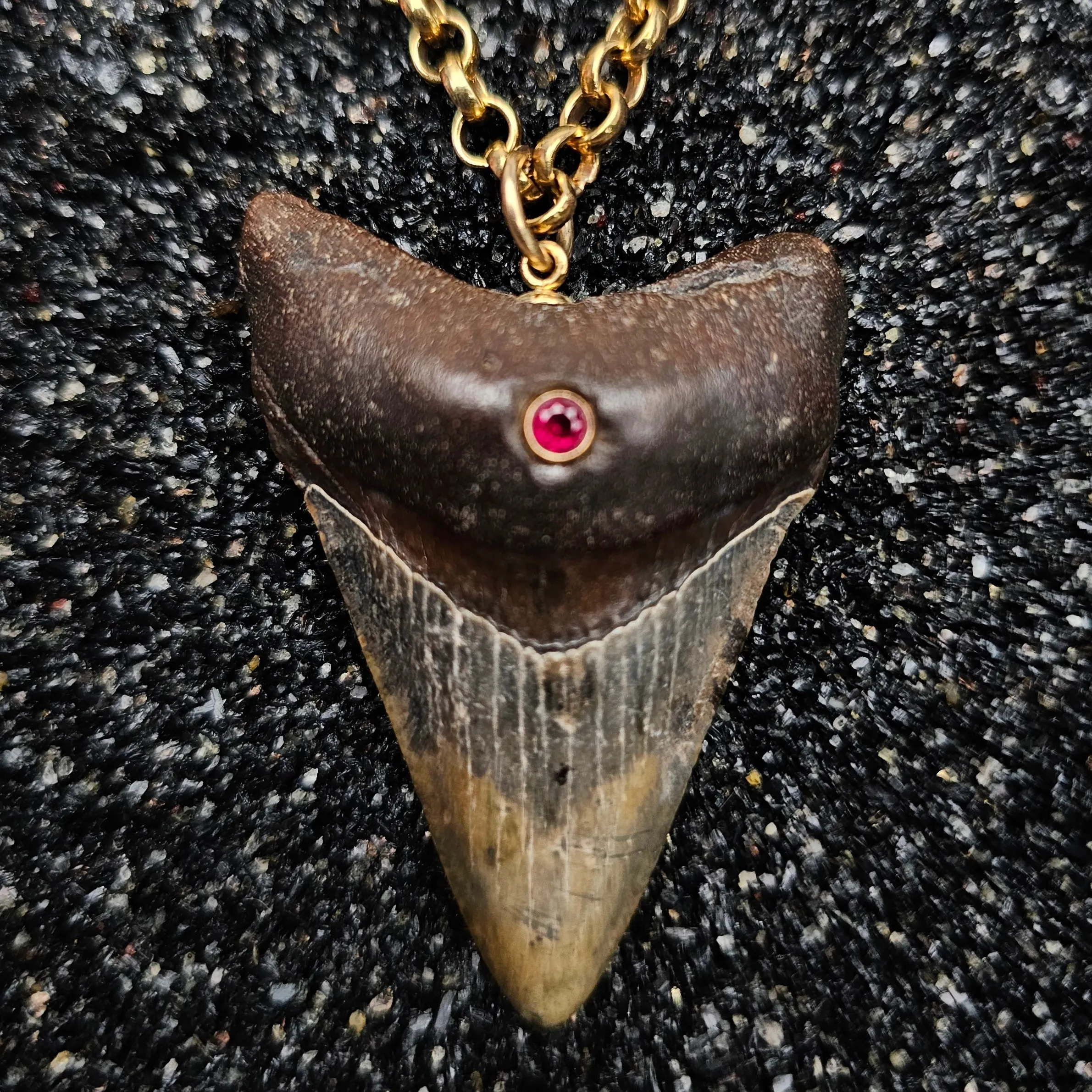 The Relic Necklace (Megalodon Tooth With Ruby, Set In 14k Yellow Gold)